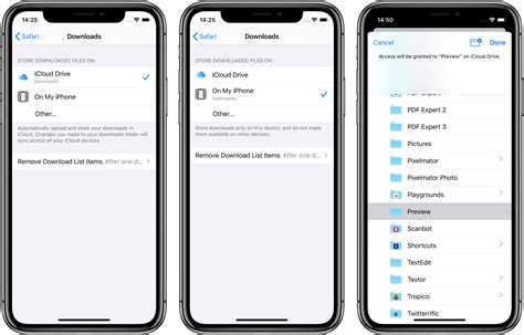 Personalizing Safari Download Settings on Your iOS Device