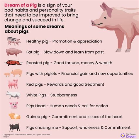 Pigs in Dreams: A Psychological Perspective on the Unexpected Presence of a Piglet