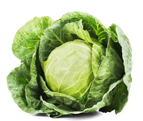 Possible Actions and Changes Prompted by a Dream of Fresh Cabbage for Women