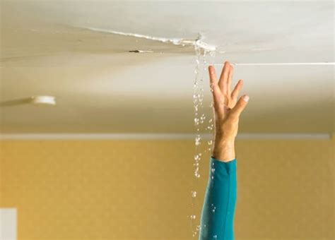 Possible Causes of Ceiling Leaks