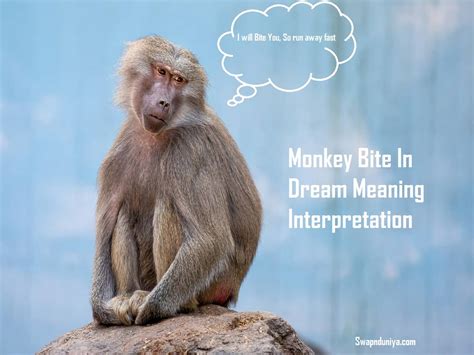 Possible Connotations and Explanations for Dreams with Monkey Biting