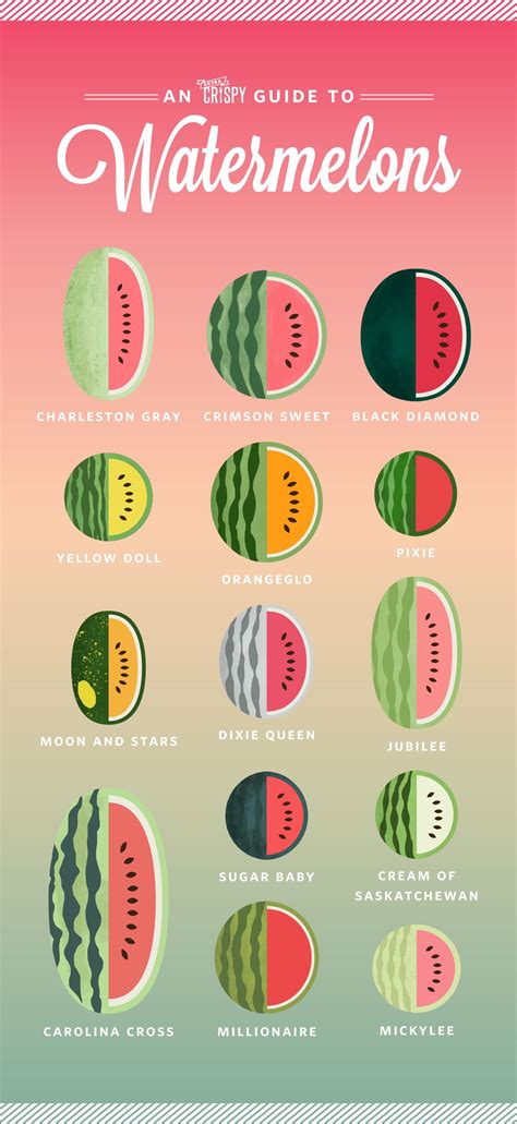 Possible Meanings of a Crimson Watermelon in a Lady's Vision