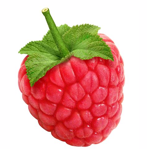 Practical Tips for Analyzing and Interpreting Raspberry Dreams