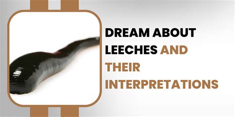 Practical Tips for Decoding Leech Dreams and Applying their Messages