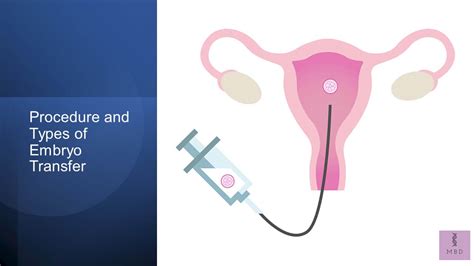 Precision and Safety: Enhancing Embryo Transfer Procedures with Robotic Assistance