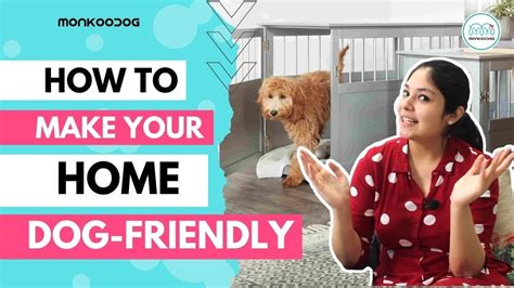 Preparing Your Home for a New Furry Addition