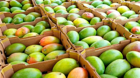 Preserving the Harvest: Methods for Storing and Canning Orchard Fruits