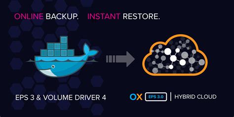 Preventing Data Loss After Reboots: Utilizing Docker Backup and Restore