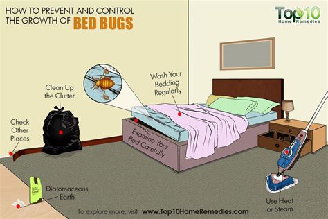 Prevention is Key: Simple Steps to Keep Bedbugs Out of Your Home