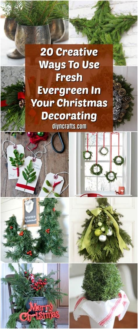 Pro Tips for Decorating Your Holiday Evergreen