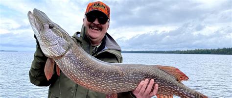 Proper Handling and Release Techniques for Landing a Trophy Pike