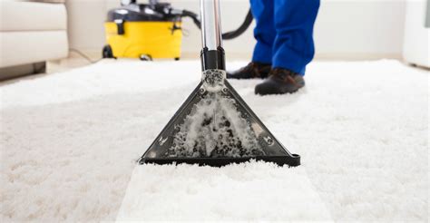 Proper Maintenance and Cleaning Techniques for Your Exquisite Carpets