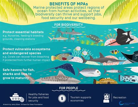 Protecting Our Oceans: The Significance of Conservation Efforts