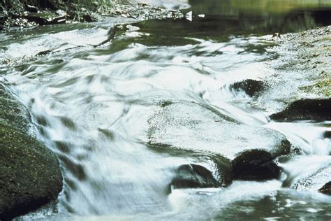 Protecting and Preserving Spring Streams for the Generations to Come