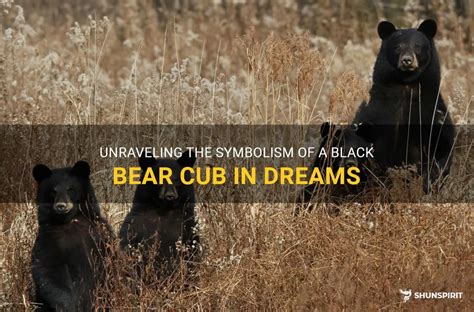 Psychological Exploration of She-Bear and Bear Cub Symbolism in Dreams