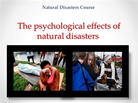 Psychological Implications: Exploring the Emotional Impact of the Surreal Transportation Incident