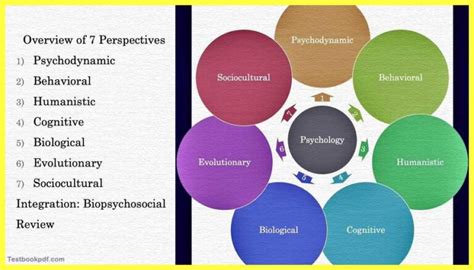 Psychological Perspectives: Analyzing the Interpretations