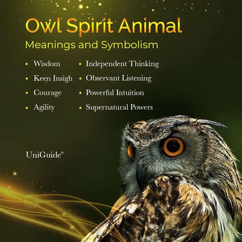 Psychological Perspectives: Owls as Symbols of Wisdom and Intuition