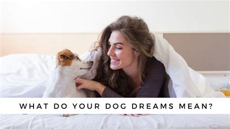 Psychological analysis of dreaming about canines