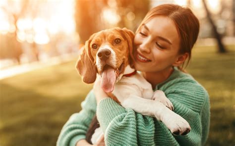 Puppy Love: Strengthening the Bond with Your New Companion