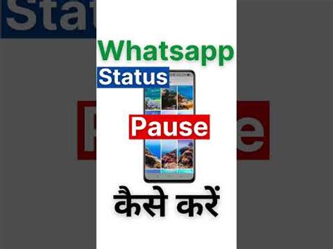 Putting WhatsApp on Pause: A Quick Guide