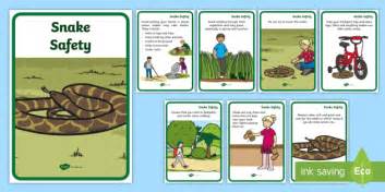 Raising Awareness: Spreading Knowledge about Snake Safety