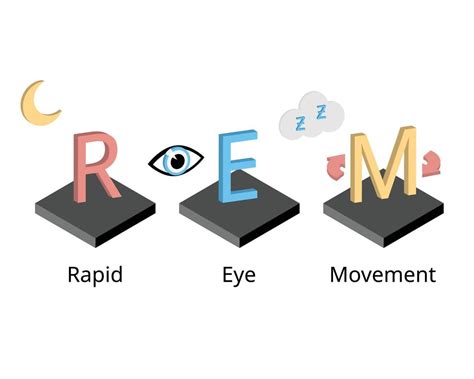 Rapid Eye Movement (REM) Sleep: The Stage of Vivid Dreams