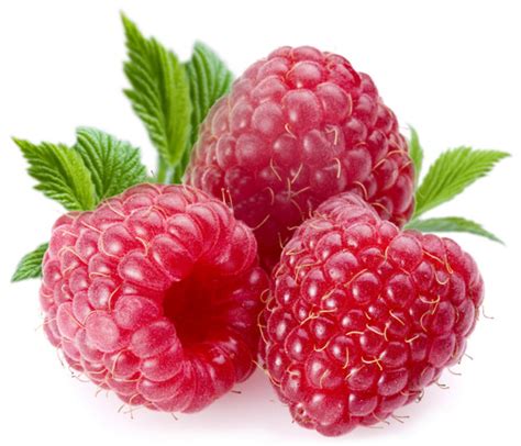 Raspberries: A Tangy and Succulent Pleasure