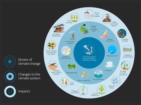 Realizing the Potential: Developing iOS Applications for Environmental Causes