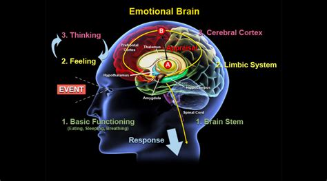 Recognizing the Impact of Subconscious Thoughts and Emotions