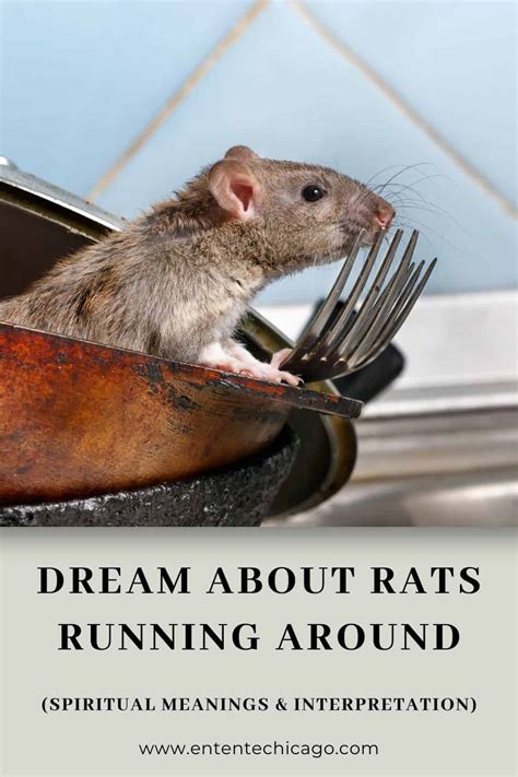 Reflecting Fear and Anxiety: Unveiling the Significance of Rats in Dreams of Women