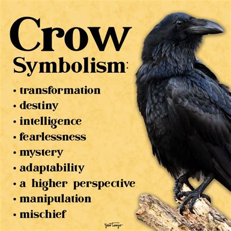 Reflecting on Your Dream: Exploring the Symbolism of the Crowing Bird