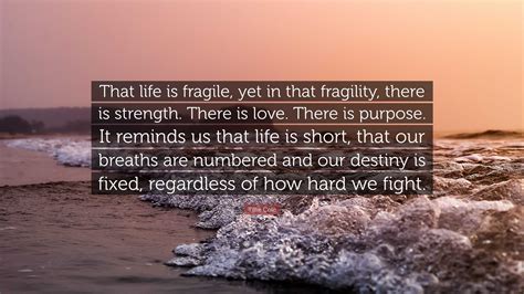 Reflections on the Fragility of Life