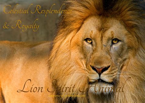 Relating the Regal Connotations of Lions in Dream Symbolism