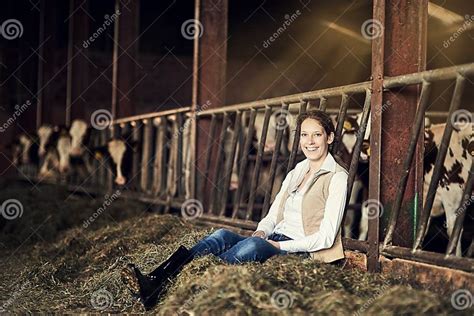 Relaxing in Style: A Bovine Break Indoors