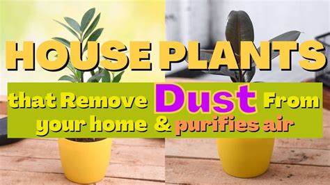 Remove Dust and Debris from the Exterior