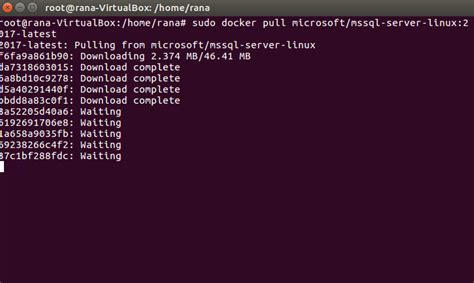 Resolving DNS and Hostname Challenges for Docker SQL Server 2017 on Linux