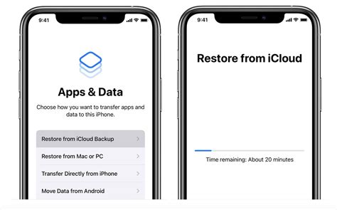 Restoring Data from iCloud or iTunes