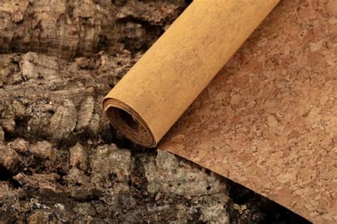 Revealing the Enigmas of the Cork Material