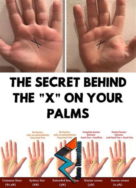 Revealing the Mysteries of Palmistry: Decoding the Hidden Messages of Your Hands