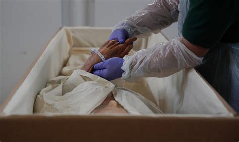 Revealing the State of Preservation within the Coffin