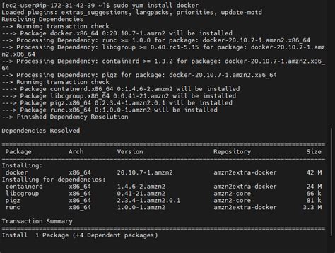 Running an Instance of Amazon Linux through Containerization