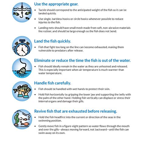 Safety Measures for Hand Fishing Enthusiasts