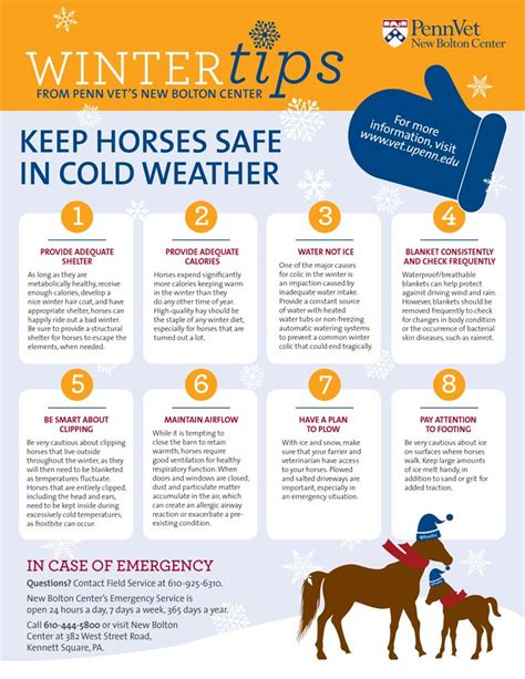 Safety Tips for Riding in Cold Weather