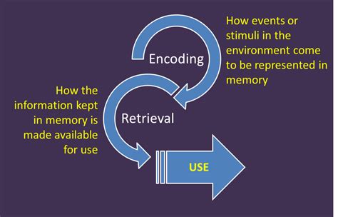 Scientific Explanation: The Role of Memory and Emotion