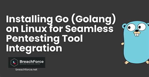 Seamlessly Integrating Golang Code into Your Swift Project