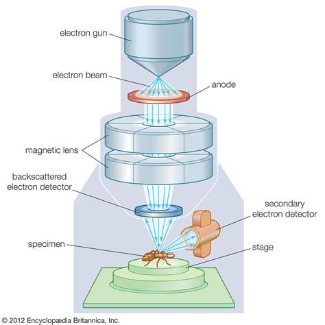 Section 1: Understanding the functionality of the scanning feature