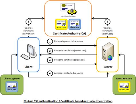 Securing SSL/TLS Certificates for Web Server Integration on the Windows Platform