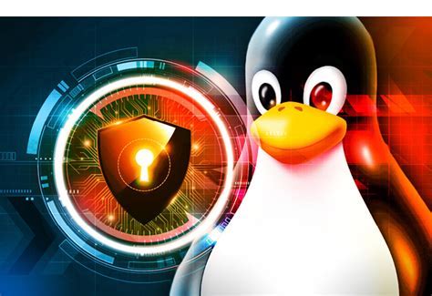 Securing and Ensuring Stability in Linux-Based Systems for Productivity Control