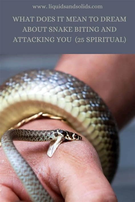 Seeking Guidance: Consulting Dream Experts for Insight into Serpent Bite Dreams